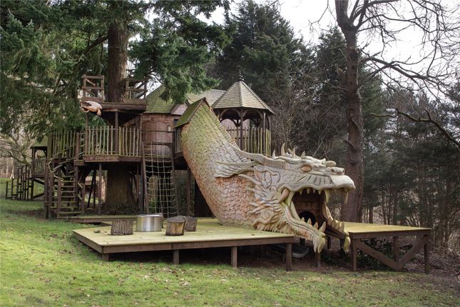 Tree House