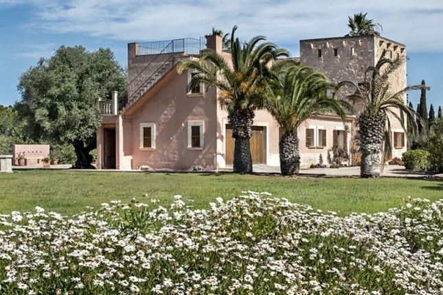 Thumbnail Detached house for sale in Sa Rapita, Campos, Mallorca