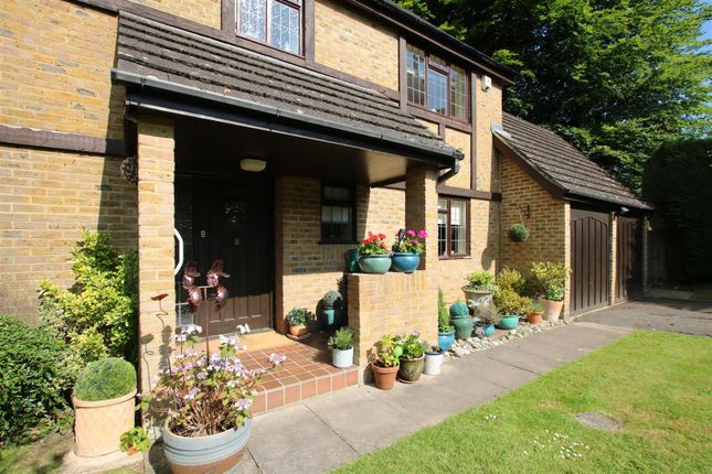 Tm June Front Step.Jpg