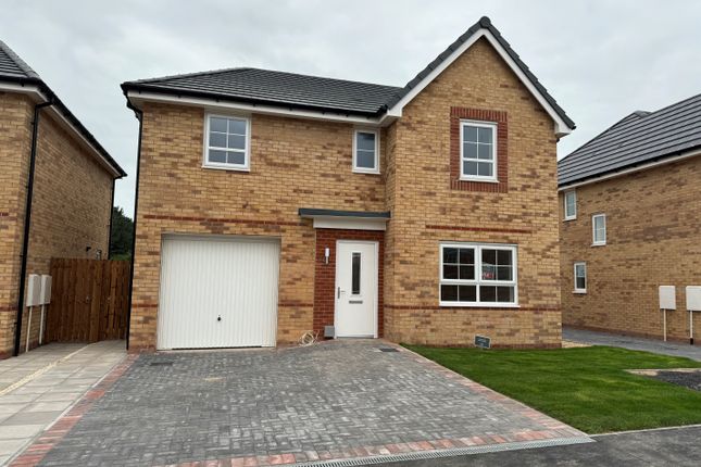 Thumbnail Detached house to rent in Trent Drive, Harworth