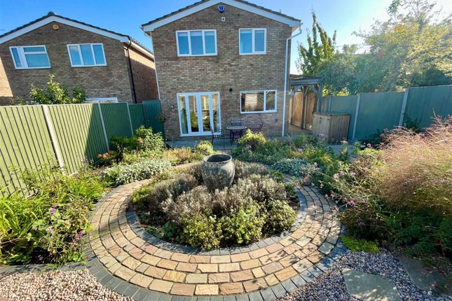 Thumbnail Detached house for sale in Martin Close, Soham, Ely