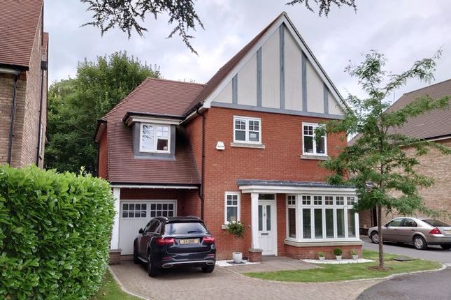 Detached house to rent in Lucas Park Drive, Walton On The Hill, Tadworth