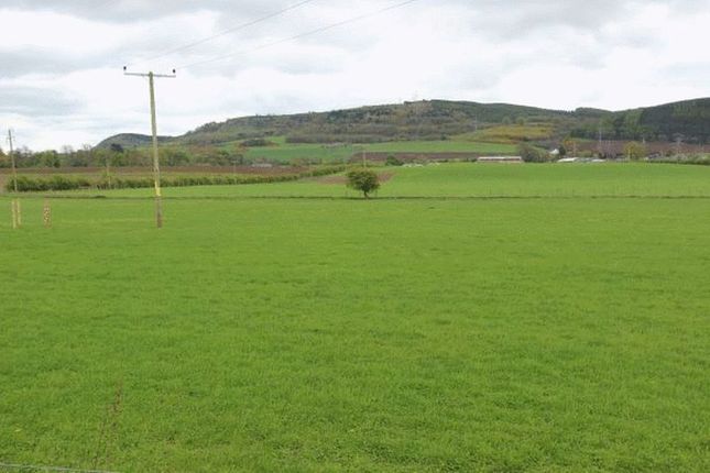 Land for sale in Newburgh, Cupar