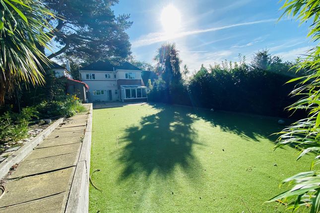 9, POOLE photo 3