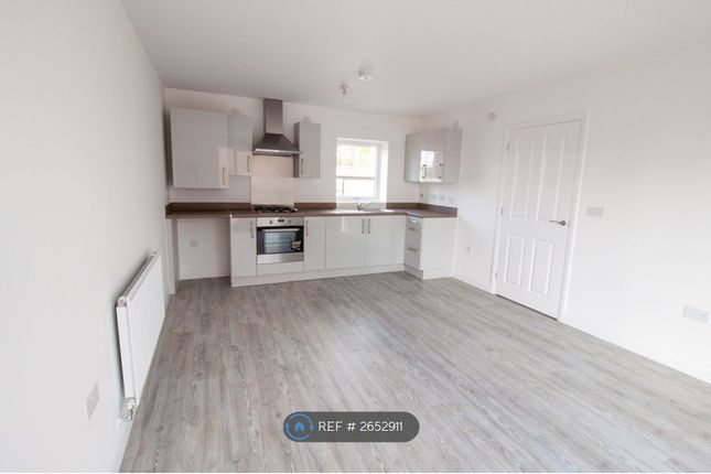 Brand New Kitchen