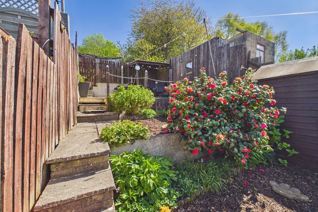 13 Hillside Terrace, Ebbw Vale photo 4