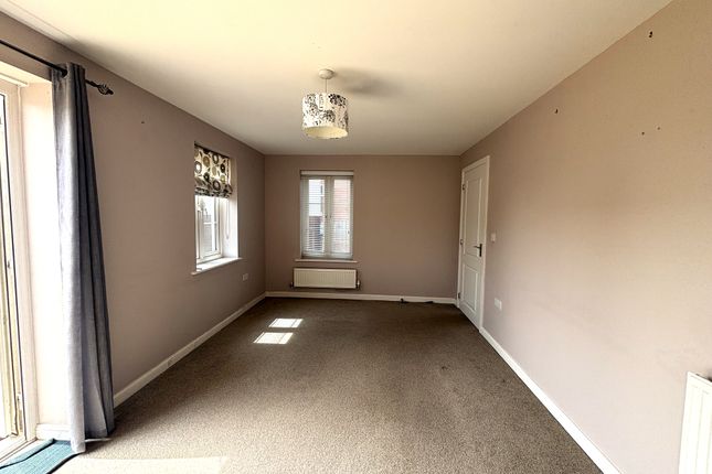 19, Exeter photo 3