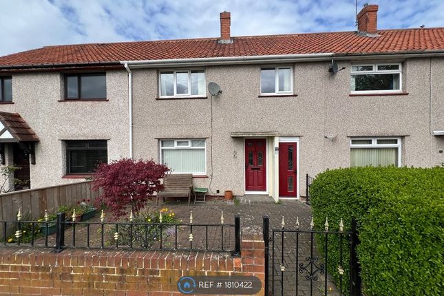Thumbnail Terraced house to rent in Fawdon Park Road, Newcastle Upon Tyne