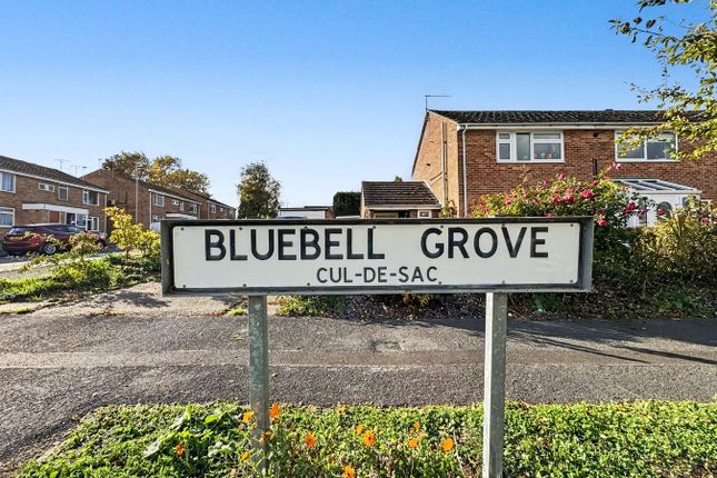Bluebell Grove, Ipswich photo 2