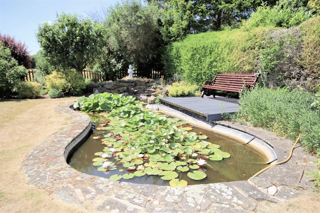View Of Rear Gardens