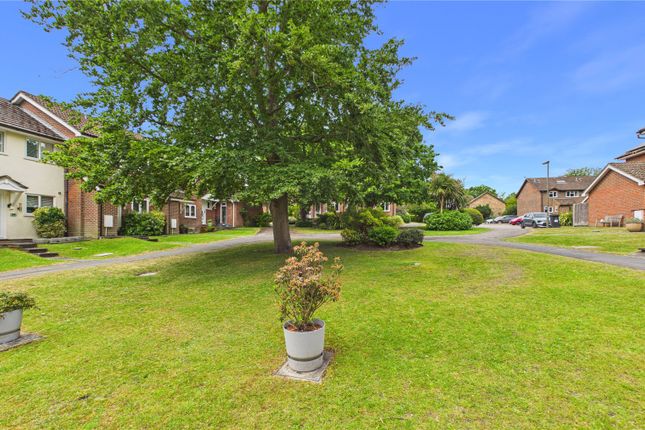 27, Spruce Drive, Surrey photo 2