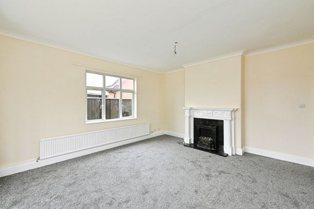 Paulessa, Downham Market photo 5