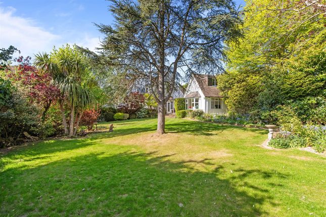 The Gables, 6, Tongdean Road, Hove photo 4