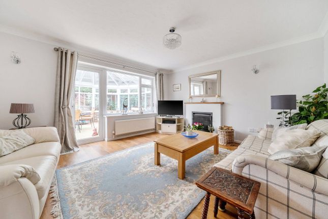 6, The Spinney, Hampshire photo 3