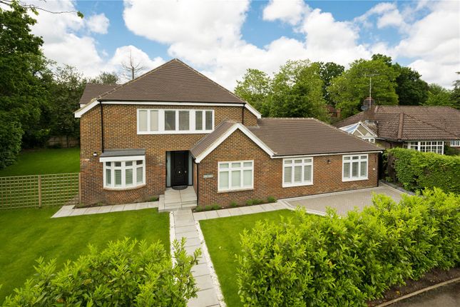 Thumbnail Detached house to rent in Knowle Park, Cobham, Surrey