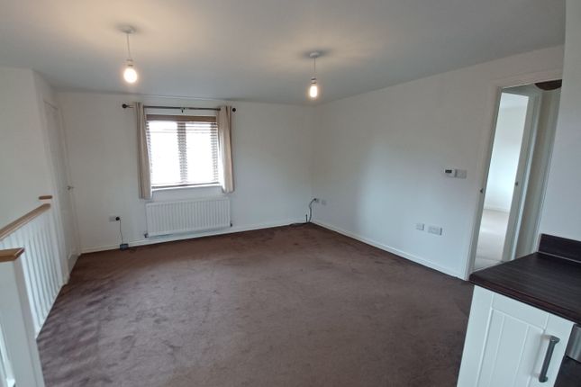35, Paignton photo 2
