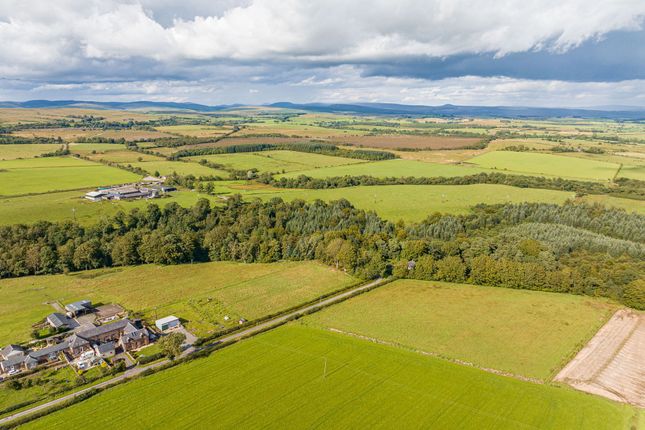 Land for sale in Land At Cadgillside, Chapelknowe