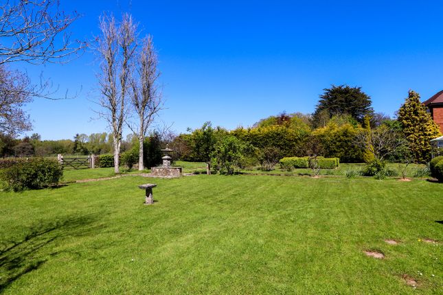 Yew Tree Cottage, The Green, Catsfield photo 2