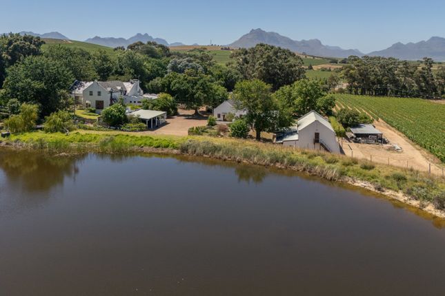 Thumbnail Farmhouse for sale in 26 Hectare Wine Farm, Stellenbosch Farms, Stellenbosch, Western Cape, 7600