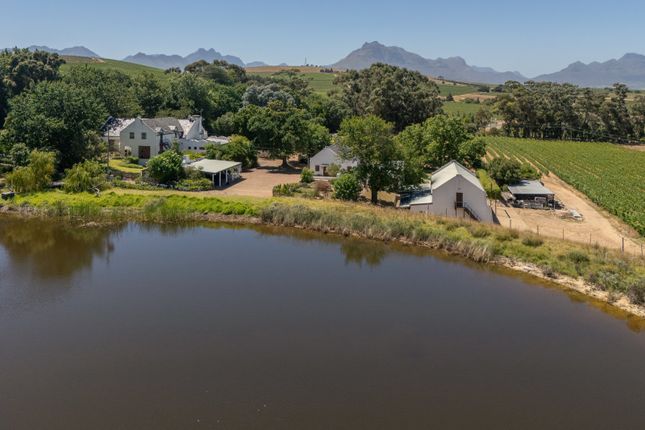 Farmhouse for sale in 26 Hectare Wine Farm, Stellenbosch Farms, Stellenbosch, Western Cape, 7600