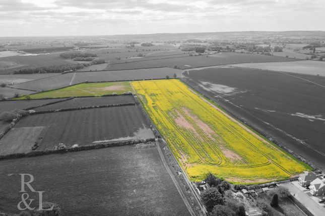 Dji_0974.Jpg