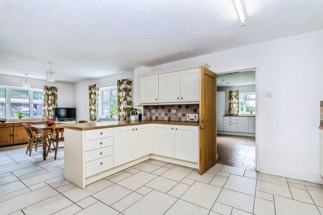 Paulalyn,, Hempstead Lane, East Sussex photo 2