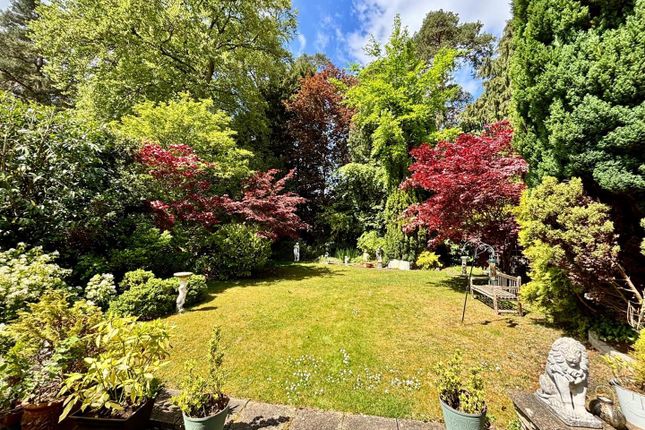 6, Claremont Avenue, Camberley photo 3
