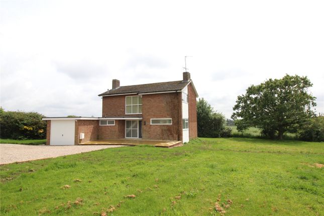 Thumbnail Detached house to rent in Castledon Road, Downham