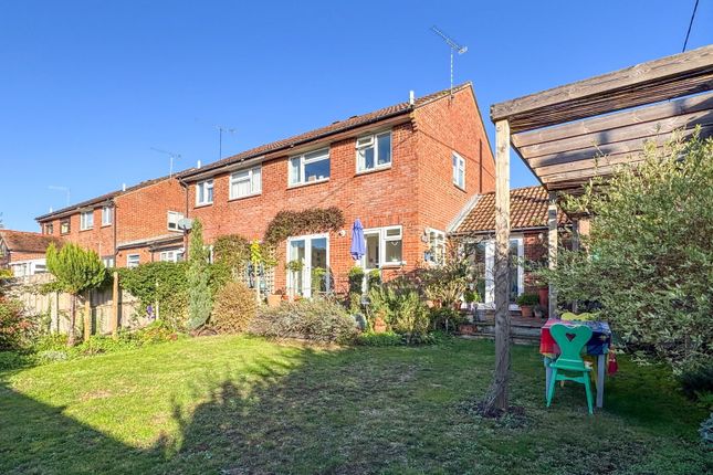 Appledown Close, Alresford photo 3