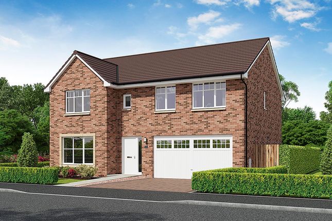 Thumbnail Detached house for sale in "Nairn" at Meikle Earnock Road, Hamilton