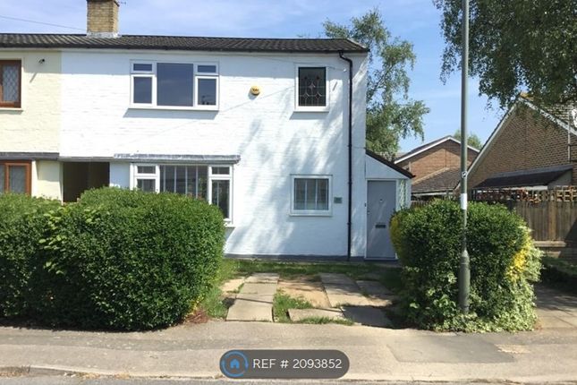 Thumbnail Room to rent in Pentland Avenue, Shepperton