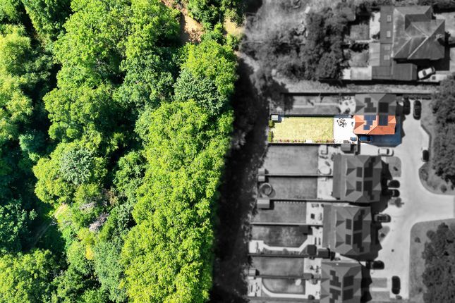 Whitestone Woods, Woking photo 4