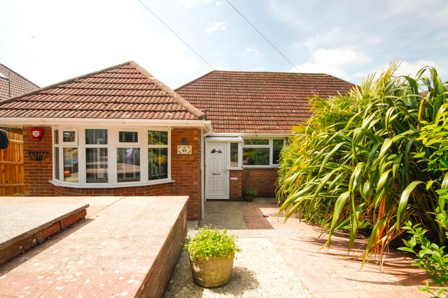 Thumbnail Semi-detached bungalow to rent in Downs Valley Road, Brighton