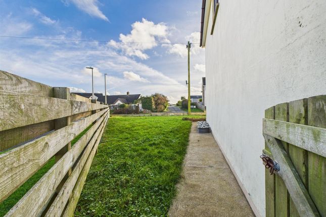 Sunkizt, Haverfordwest photo 3