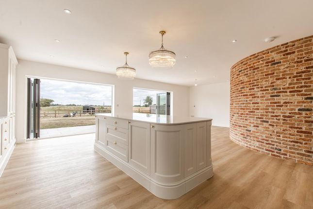 Daisy Meadows, Kirkgate, Wisbech photo 4