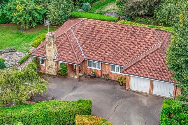 Thumbnail Detached bungalow for sale in Fir Tree Close, Leatherhead