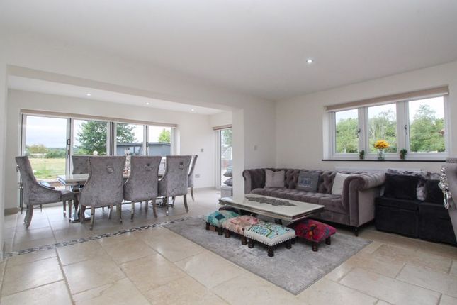 Kitchen/Family Room