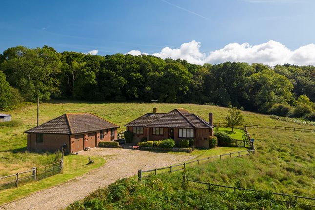 Thumbnail Bungalow for sale in Toms Lane, Linwood, Ringwood