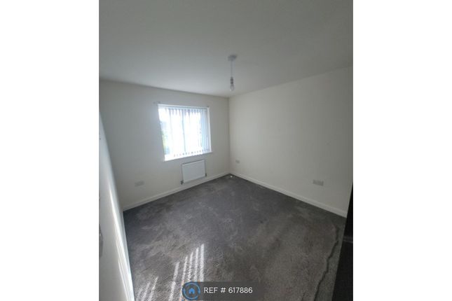 Fairwater Avenue, Birkenhead photo 4