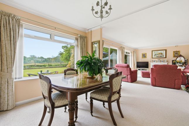 13 Winkfield Road, Windsor photo 4