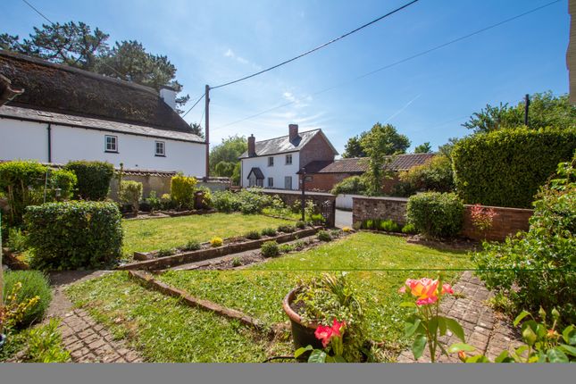 Sydney Cottage, Exeter photo 3