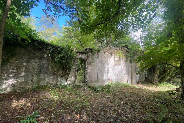 Llangibby Castle House, Castle Drive, Llangybi photo 4
