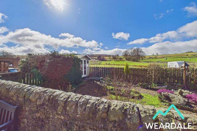 41 Hood Street, Bishop Auckland photo 3