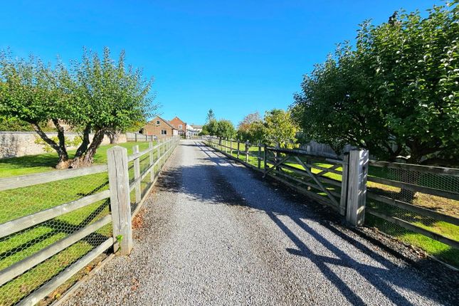 Middle Street, Stonehouse photo 2