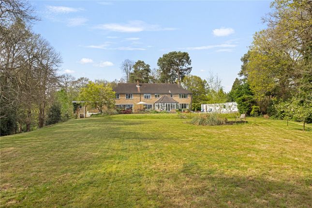 Land for sale in Leigh Lane, Farnham, Surrey