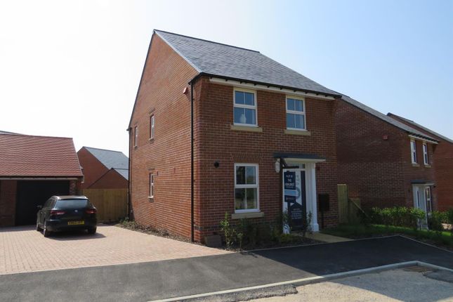 Detached house to rent in Salvadori Gardens, Westhampnett, Chichester