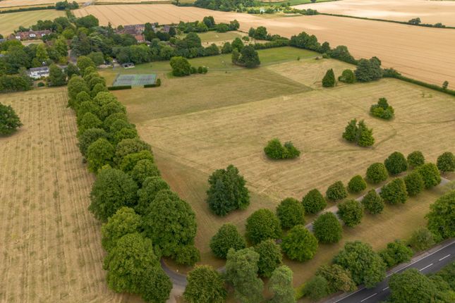 Grounds
