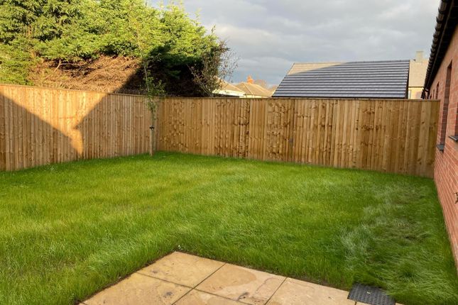Semi-detached bungalow for sale in The Avenues, Lord Hawke Way, Newark