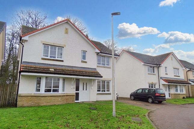 Thumbnail Detached house for sale in Tern Crescent, Alloa