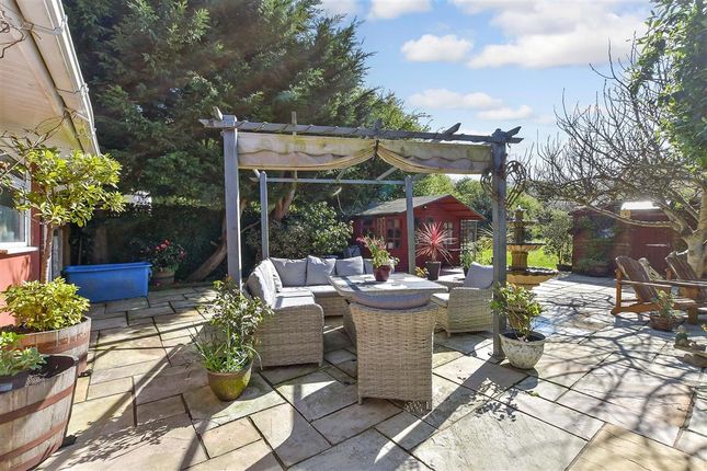 Patio / Decking